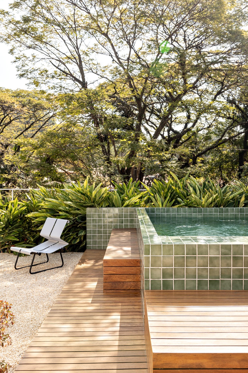 Paisagismo para piscina: dicas e ideias bem refrescantes para se inspirar