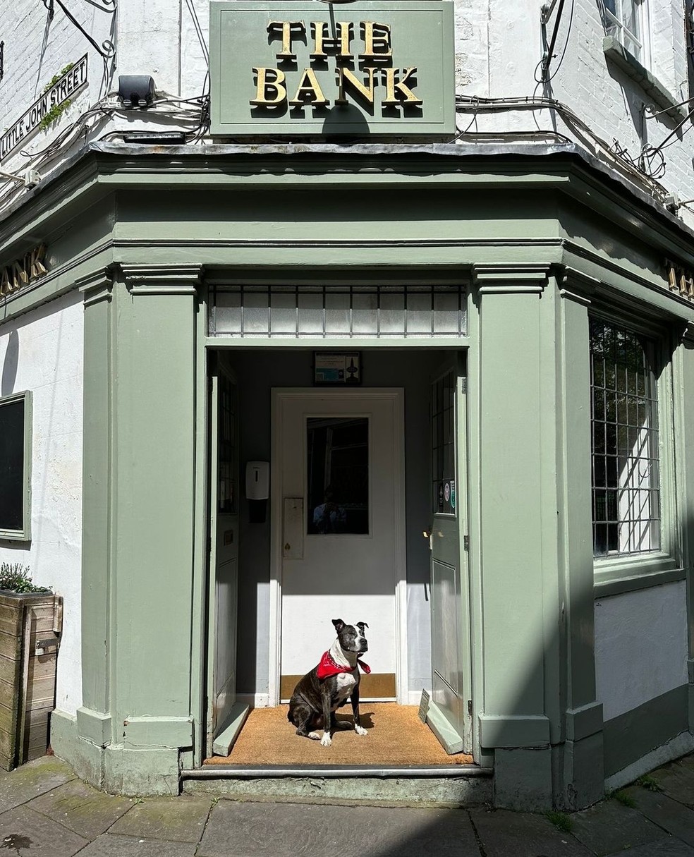 A cadela Charlie pronta para recepcionar os clientes na entrada — Foto: Reprodução/Instagram @thebanktavern