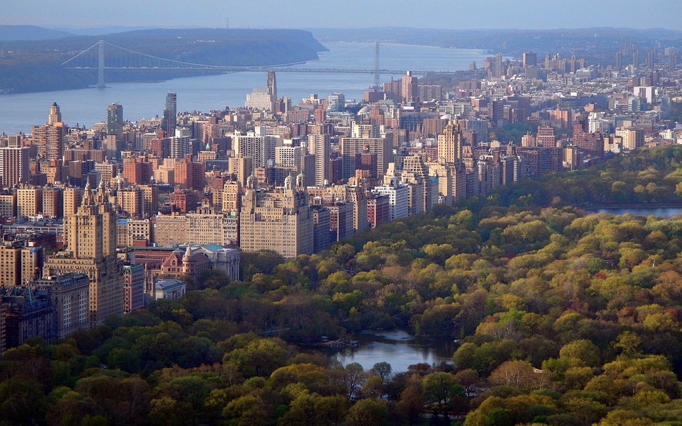 Nova York tem vegetação capaz de absorver emissões de carbono dos veículos da cidade — Foto: Michael Rocha/Pexels