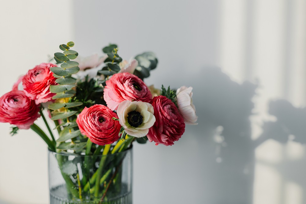 Ranúnculo: a flor que transforma qualquer espaço com cor e delicadeza